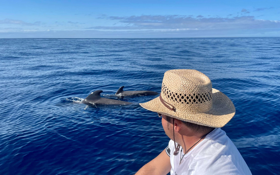 galeria-pilotwhales-tenerife-salida-008