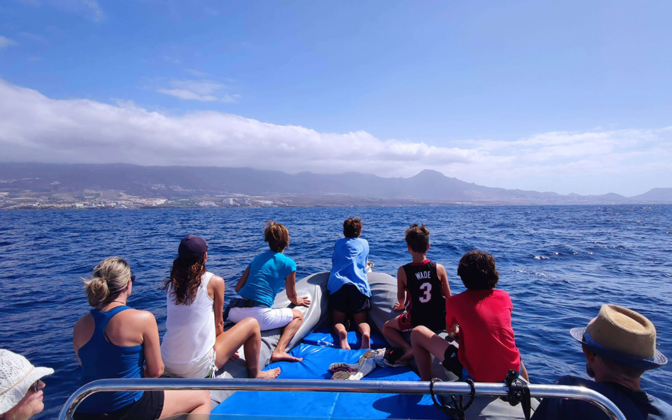 galeria-pilotwhales-tenerife-salida-024